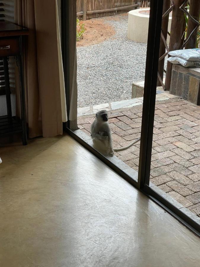 The Cheetah Rest Villa Hoedspruit Buitenkant foto