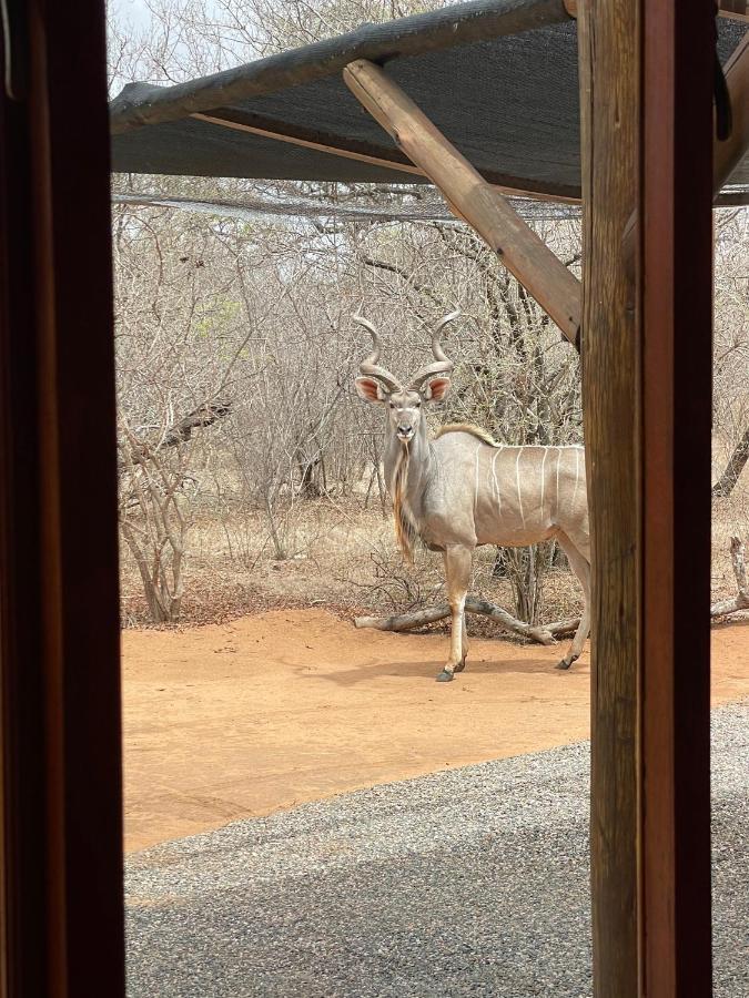 The Cheetah Rest Villa Hoedspruit Buitenkant foto
